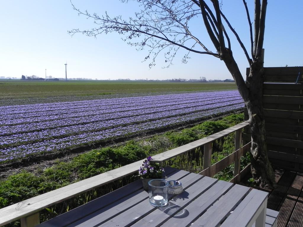 Appels En Peren Bed And Breakfast Breezand Номер фото